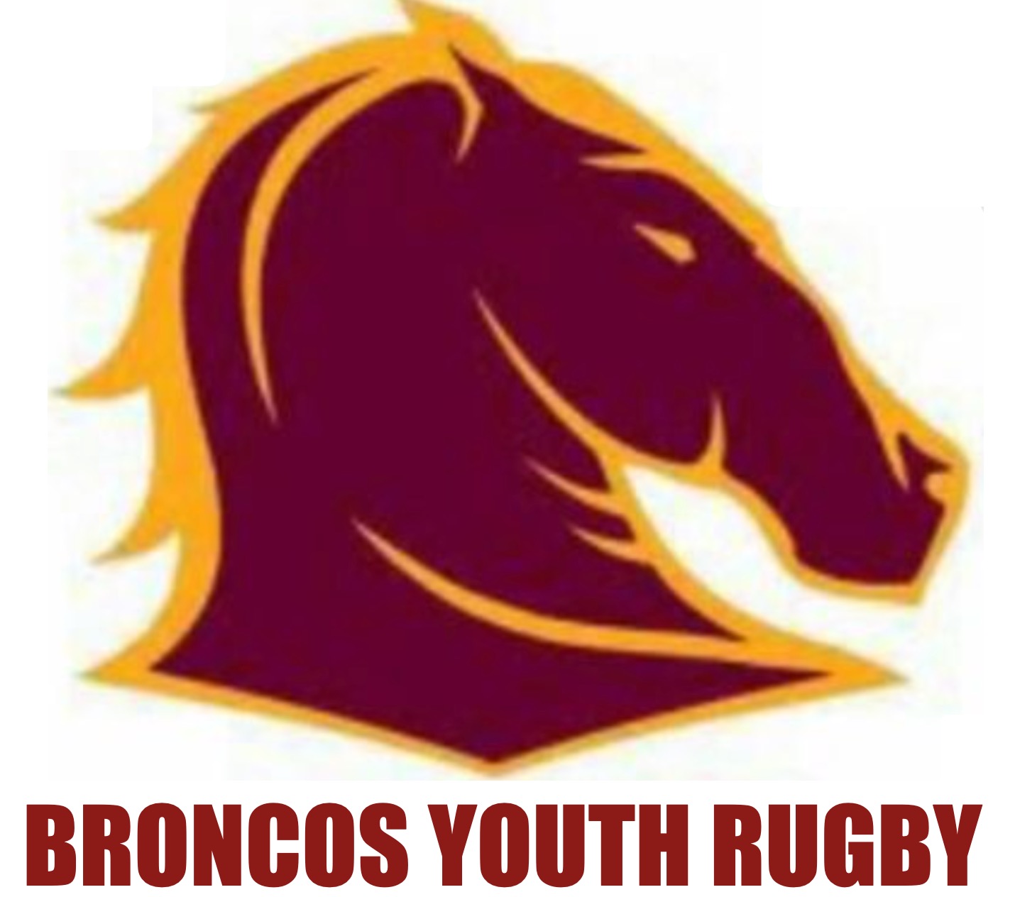 Broncos Youth Rugby